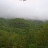 mountains