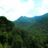 Great Smoky Mountains