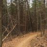trail
