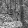creek