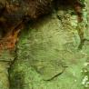 rock face