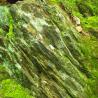 mossy rock