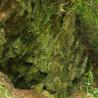 trailside boulder