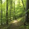 trail